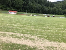 IMG_2125 IMG_2125