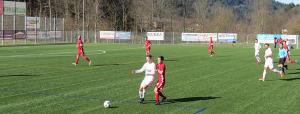 IMG_4230 IMG_4230