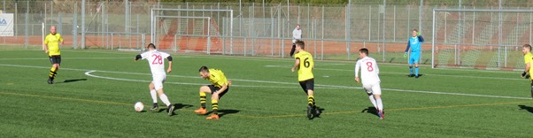 IMG_4235 IMG_4235