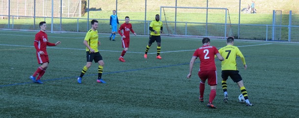 IMG_4247 IMG_4247