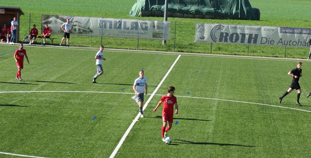 IMG_4690 IMG_4690