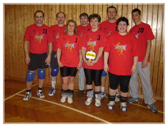 Volleyball_3