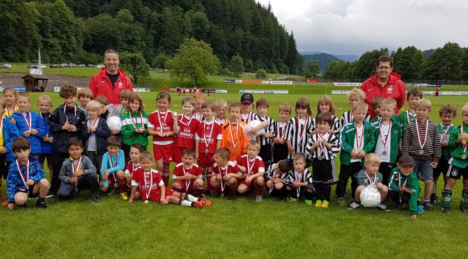 Sportfest 2016: Familientag