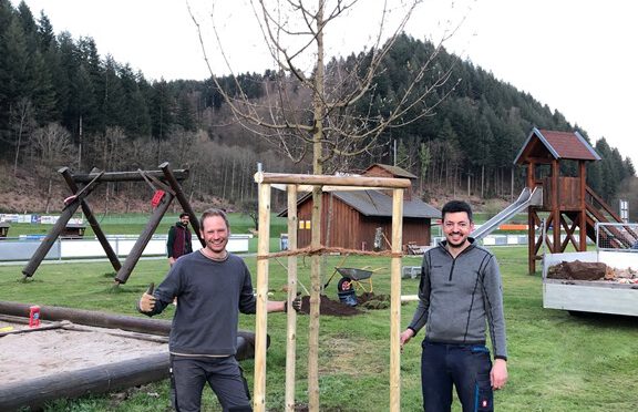 Neue B&auml;ume ersetzen alte B&auml;ume am Spielplatz