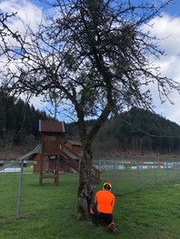 IMG_1161