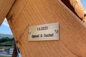 Schaukel_4