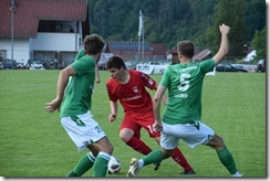 tus_fvs_2023_06_10_008
