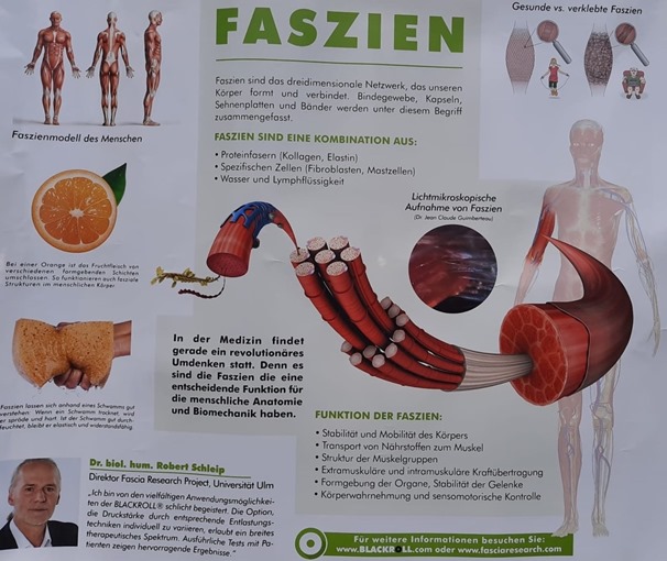 Faszien