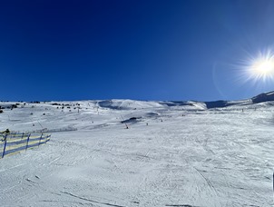 IMG_8875