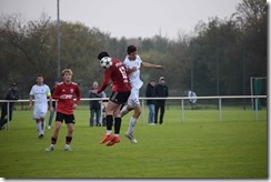 vfb_tus_008