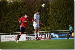 vfb_tus_028