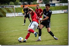 tus_vfb_004