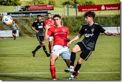 tus_vfb_007
