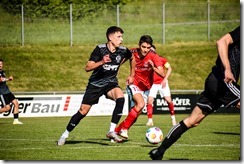 tus_vfb_010