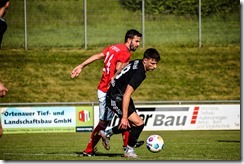 tus_vfb_012