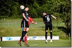 tus_vfb_013