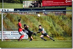 tus_vfb_014