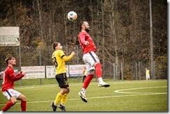 tus_fvs_017
